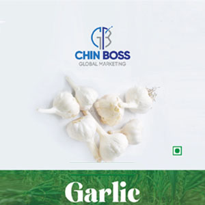 CHIN BOSS Garlic (Vellulli) 250g